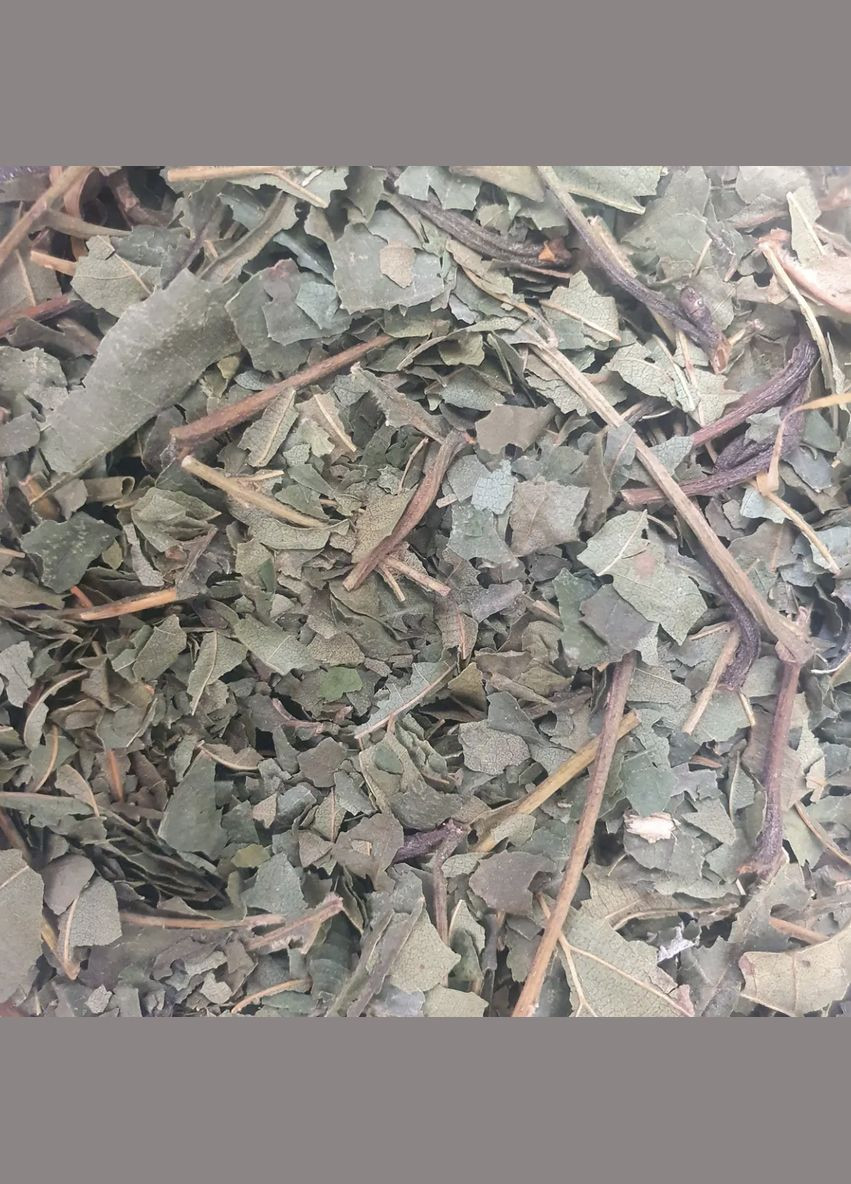 100 г ольха черная лист сушеный - свежий урожай No Brand (330143434)