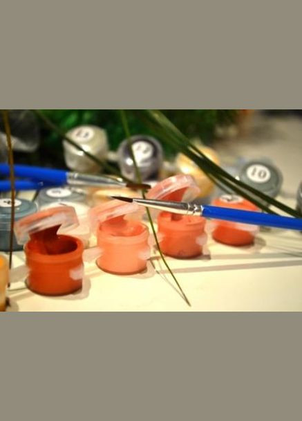 Картина по номерам Солнечный Корги 40х50 см BS53943 Brushme (331112043)