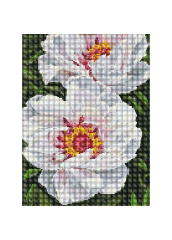 Алмазная мозаика "Белые пионы" AMO7753 Идейка (302386183)