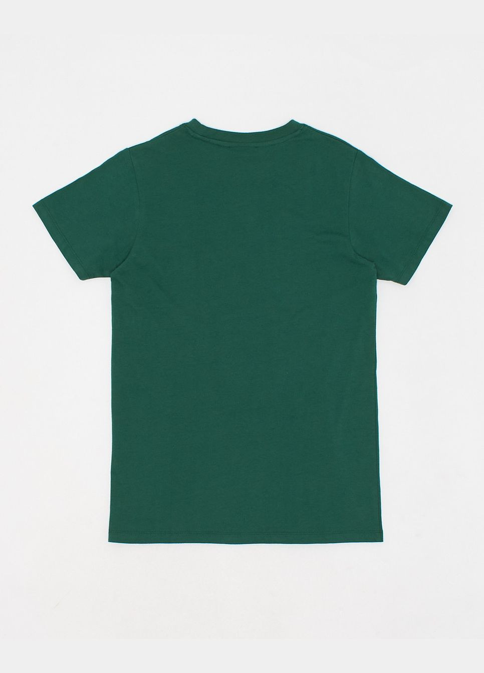 Зеленая футболка,зеленый с принтом, Wesc