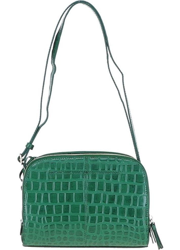Сумка крос-боді через плече для телефону та документів жіноча з натуральної шкіри маленька Зелений 37278 Ashwood (353689999)