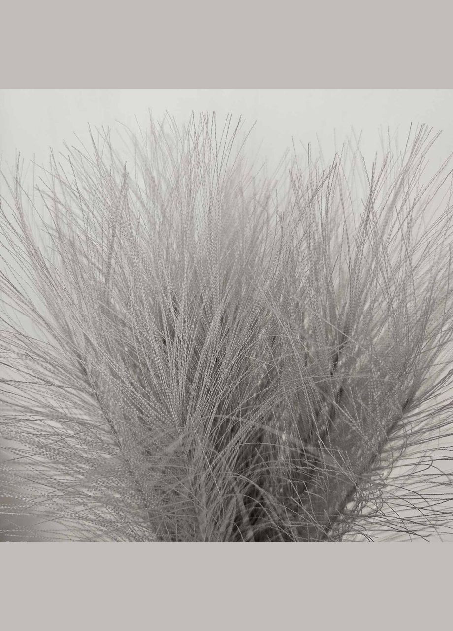 Пампасная трава искусственная ветка 1шт No Brand (304401617)