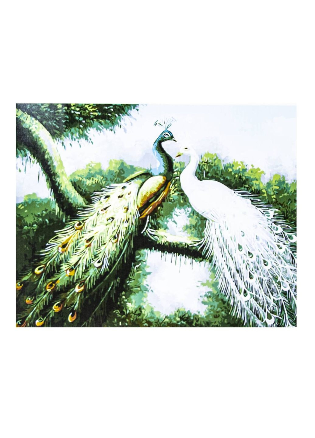 Картина по номерам Павлины,, краски, кисти. Multicolor (6002) ArtStory (340909033)