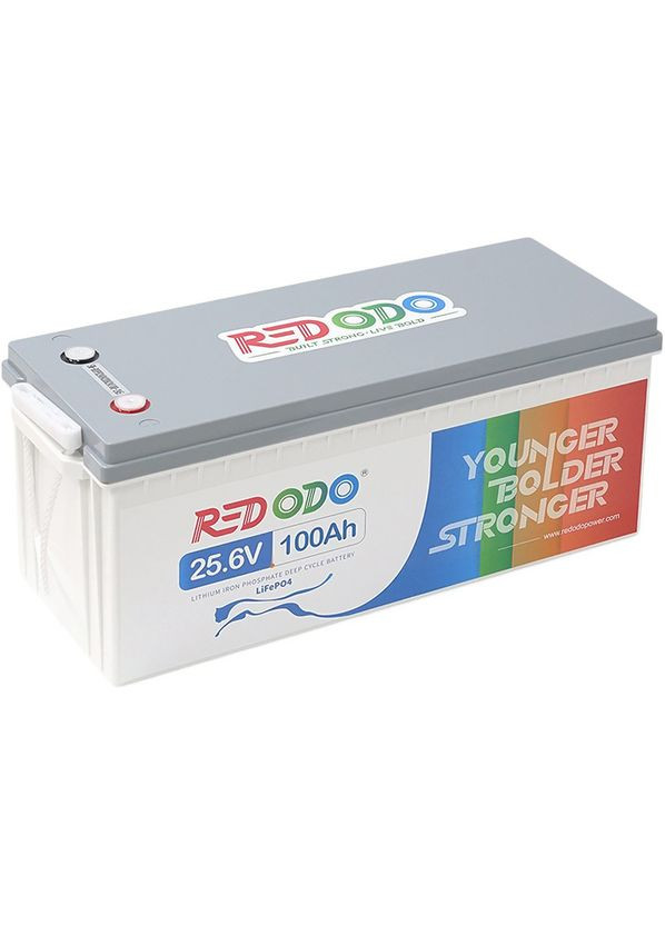 Аккумулятор LiFePO4 24V 100Ah 2560Wh (-256V100Ah) Redodo (323429860)