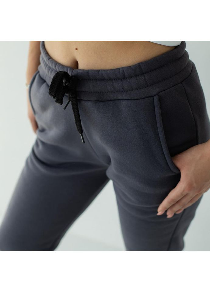 Штани трьохнитка на флісі No Brand (372445130)