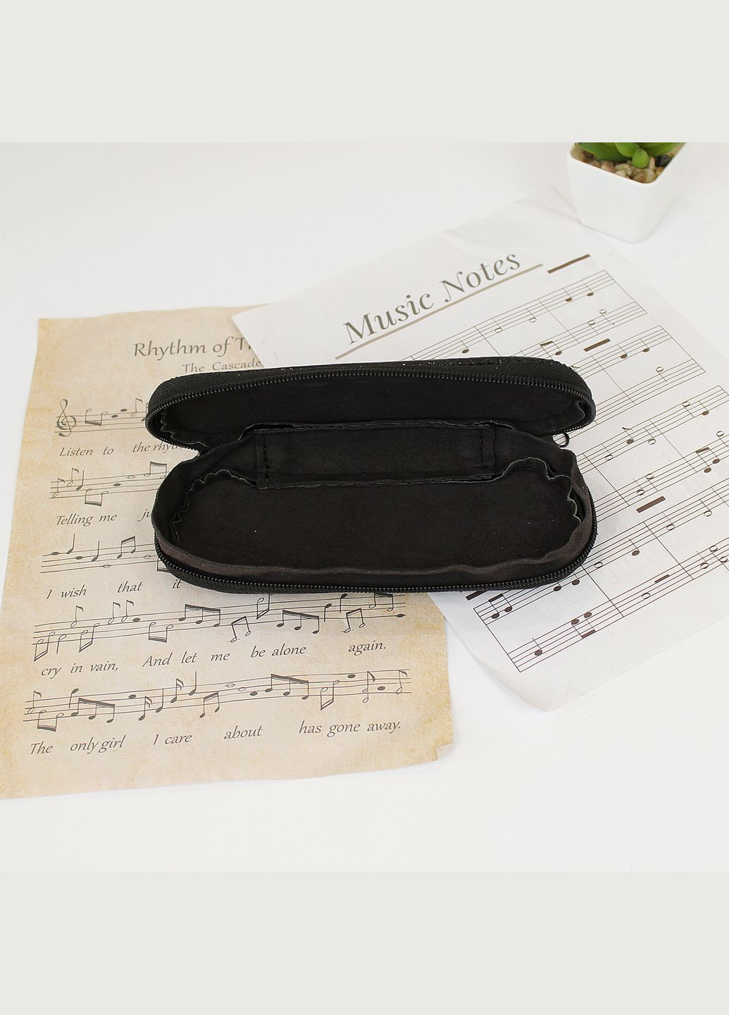 Футляр чехол для очков на молнии из натуральной кожи Игуаны. Черный No Brand (327878132)