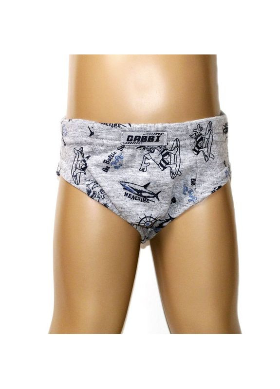 Детские трусы для мальчика Сёрф (2 шт.) GABBI (327096578)