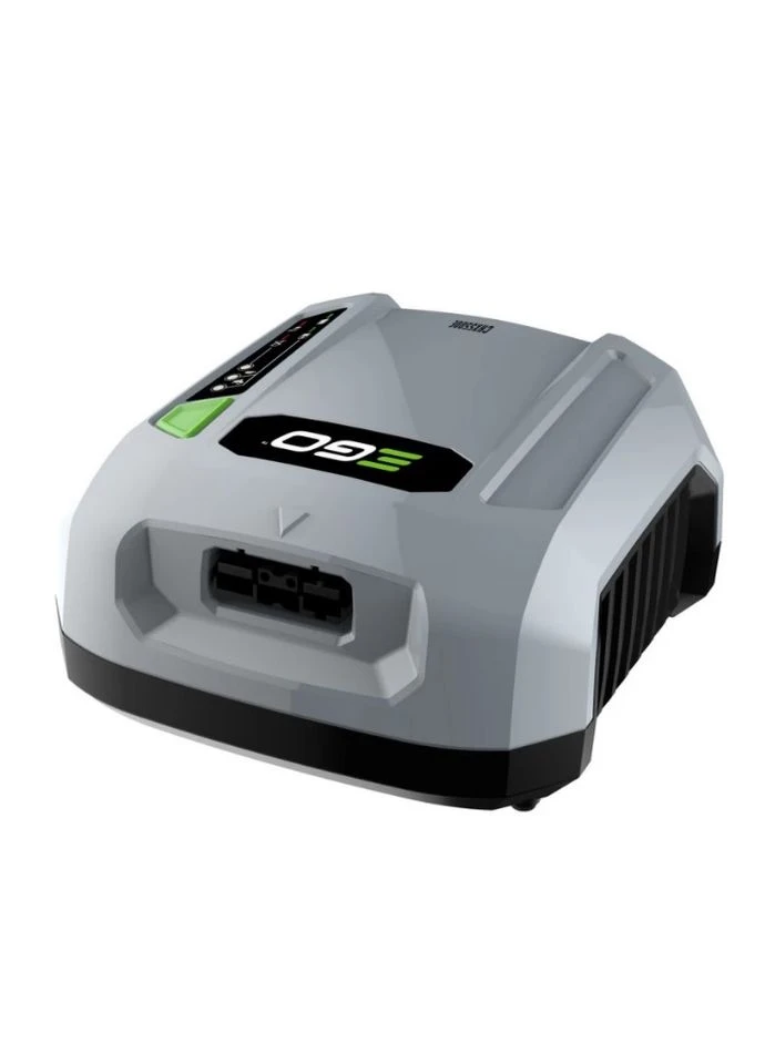 Зарядний пристрій CHX5500E Commercial Ego 81657 (385677980)