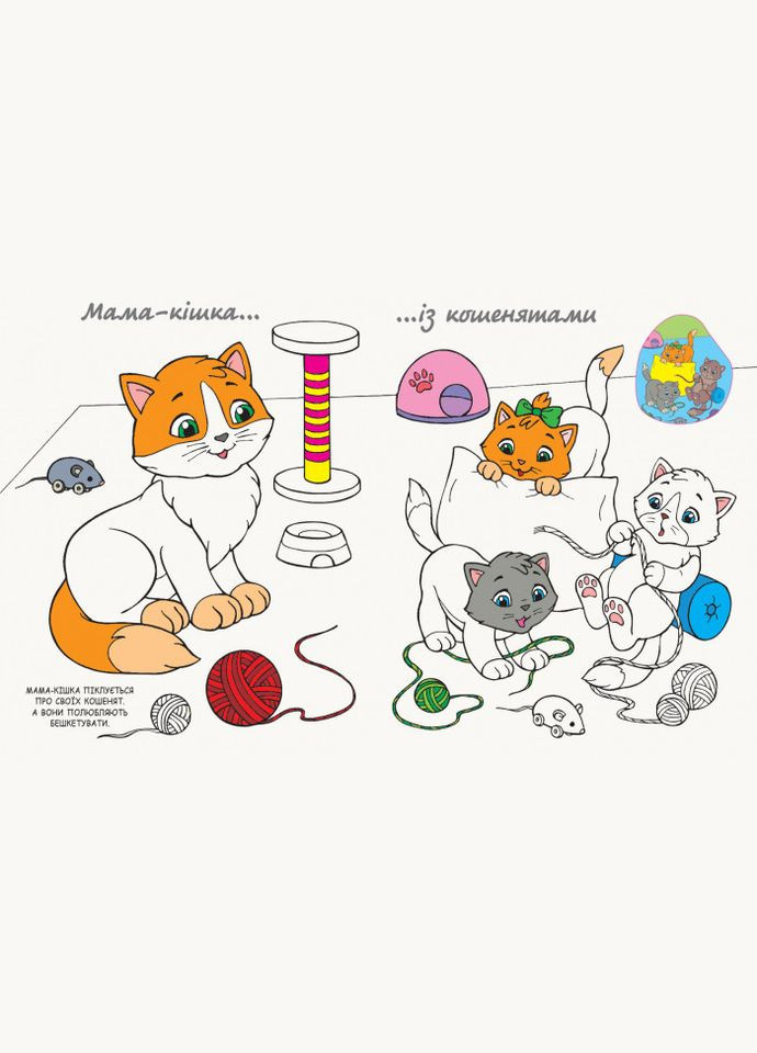 Моя розмальовочка. Канікули в селі РАНОК (316083588)