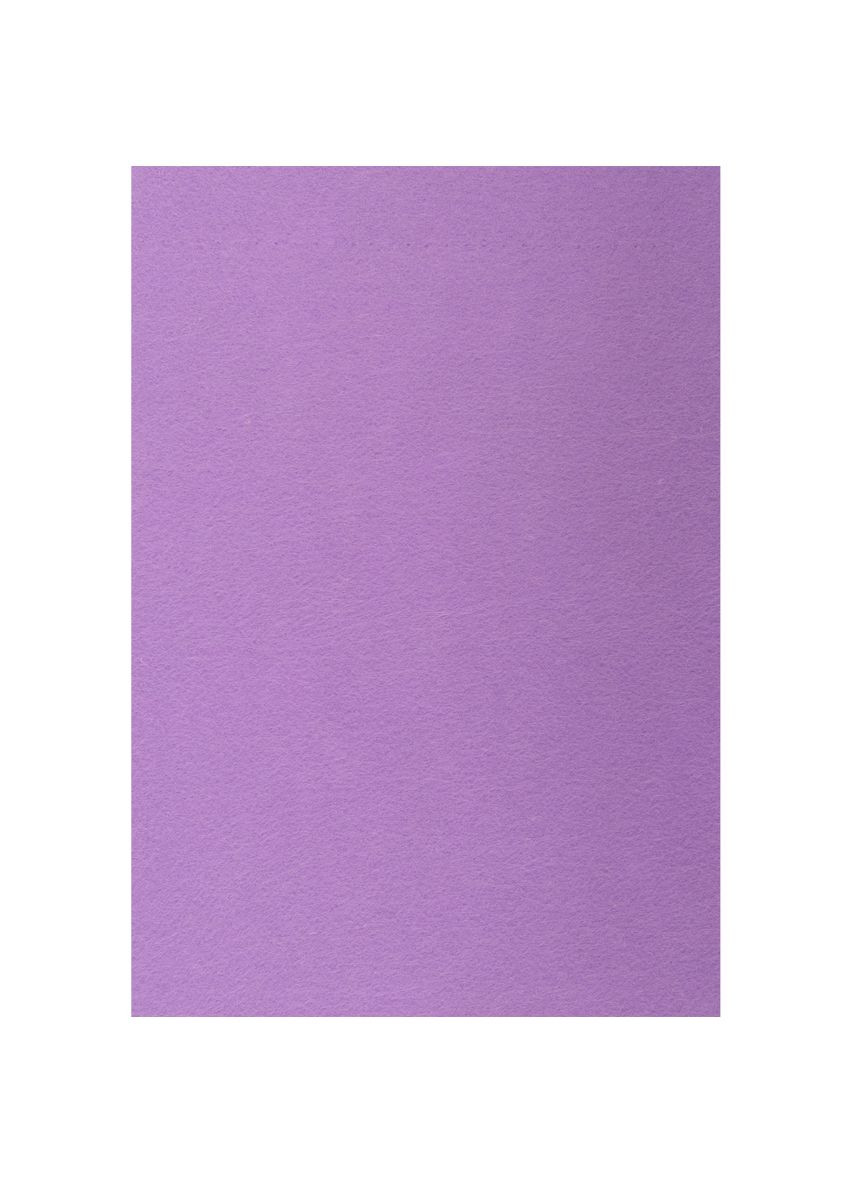Набір фетру жорсткого 742931 21х30 см лавандовий. Santi (336883207)