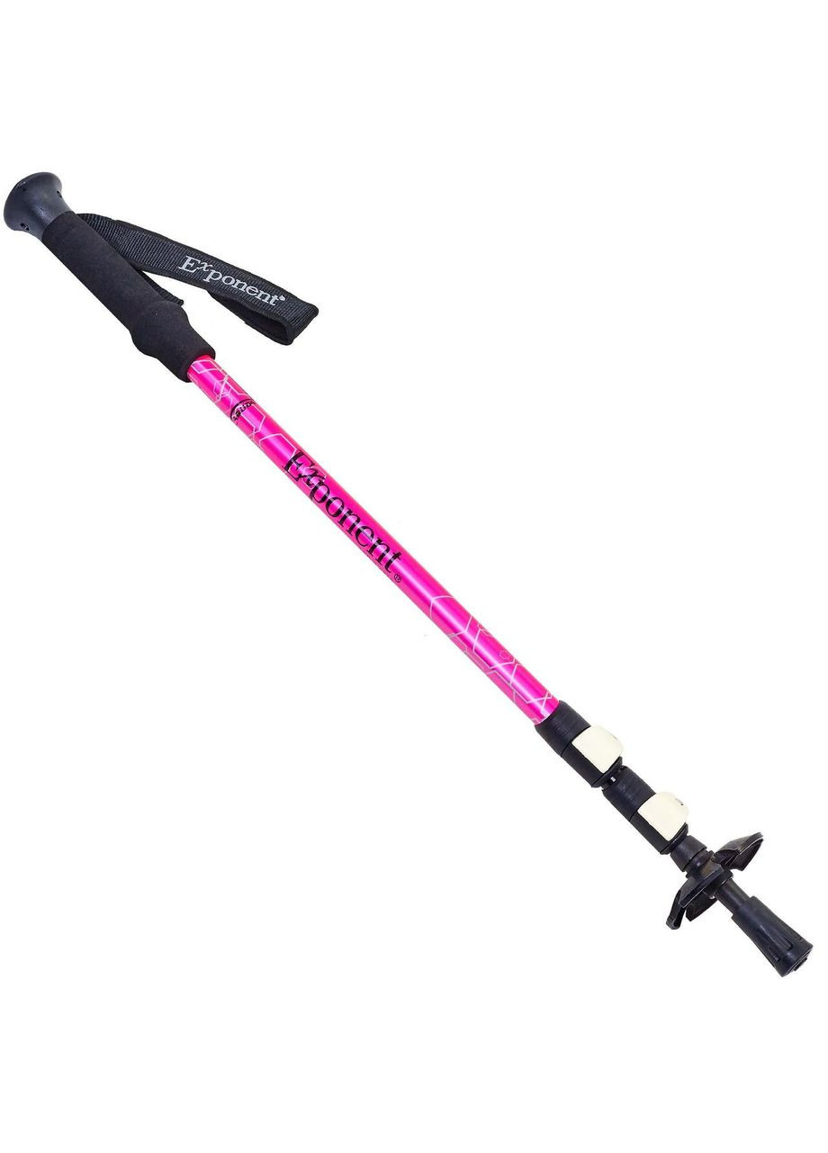 Палка треккинговая для скандинавской ходьбы Exponent TY-8019 65-135см SP-Sport (324220156)