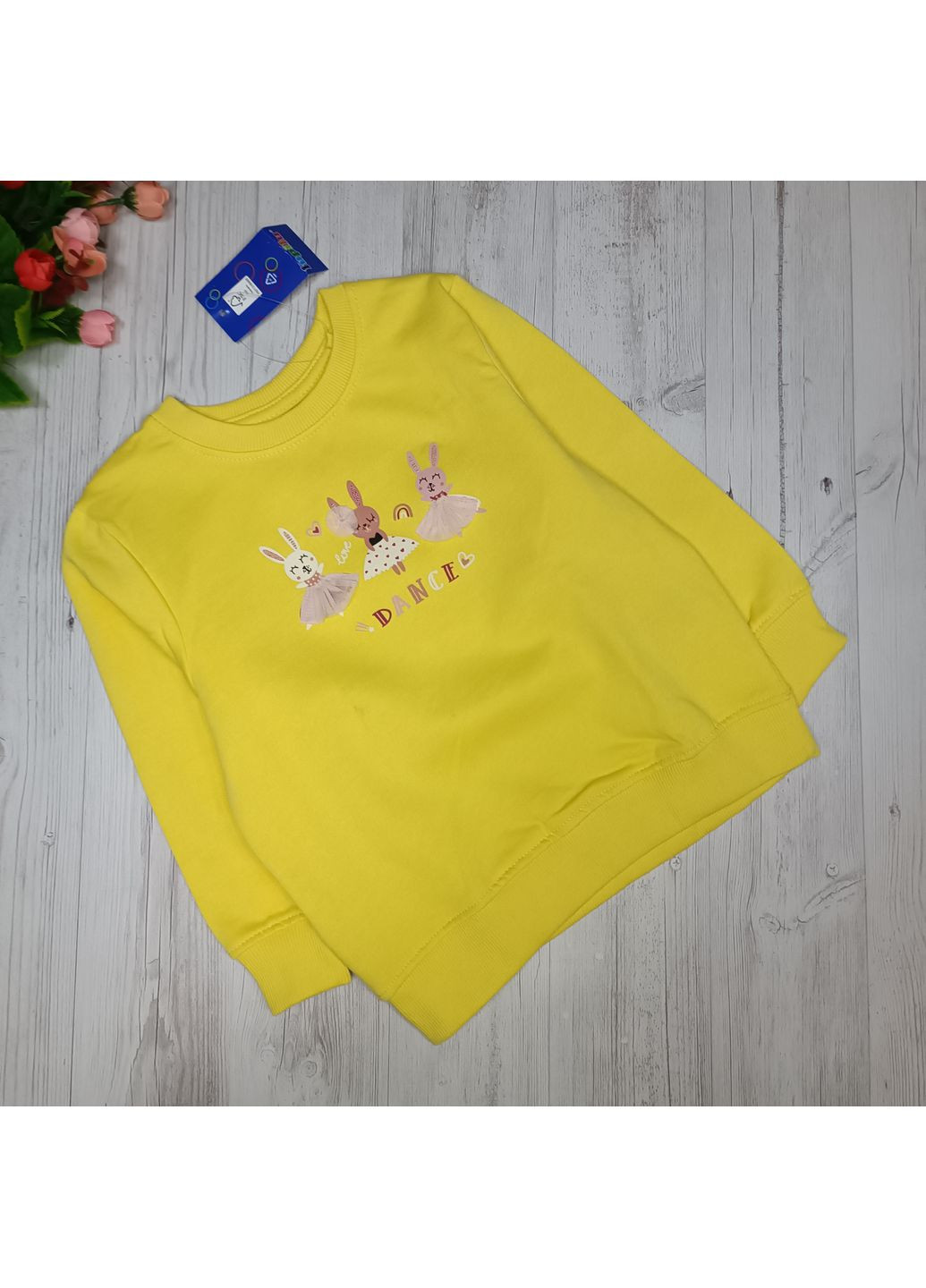 Кофта (світшот) для дівчинки, утеплена Lupilu (362315723)