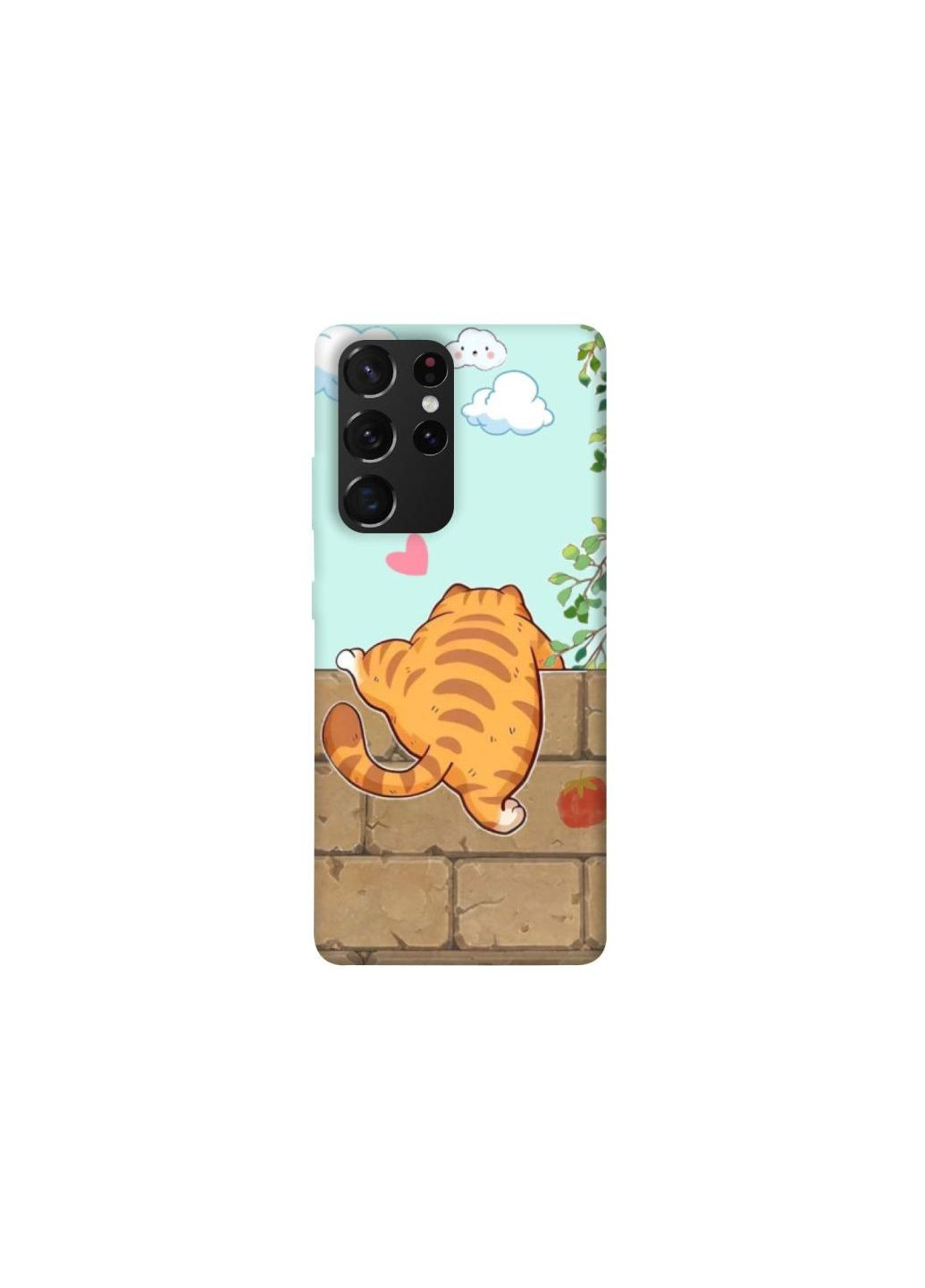 Чехол на Samsung Galaxy S21 Ultra Cat the meow Frontalka (351387164)