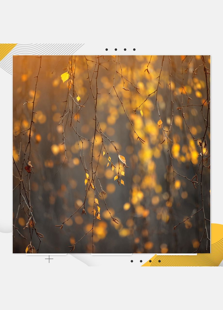 Пластиковый угловой 2D фотофон, 60x60 см - №62189 PolyPlast (354376302)