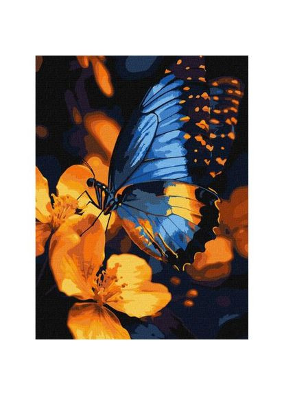Картина по номерах "Мерехтіння крил" 30х40 см Ідейка (369785695)
