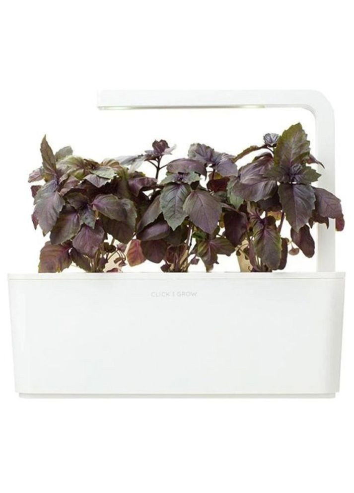 Сменный картридж Красный базилик 7427 Click and Grow (316621147)