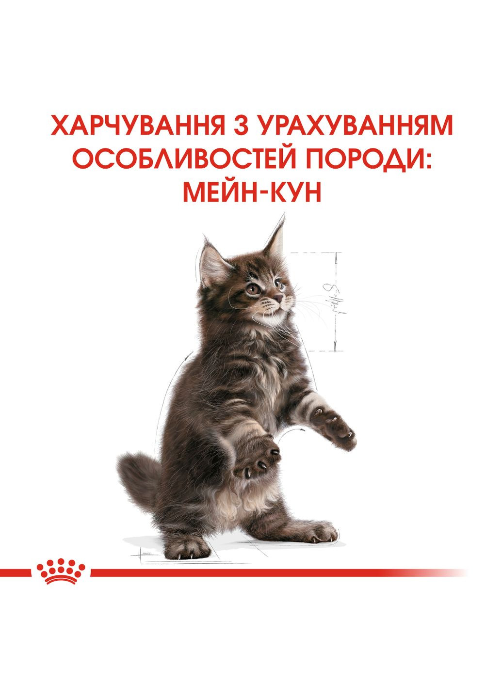 Сухой корм для котят Mainecoon Kitten 2 кг (3182550816502) (2558020) Royal Canin (308752582)