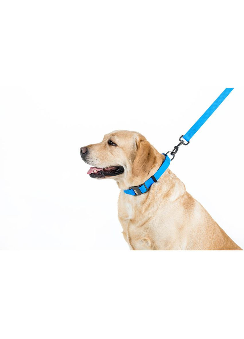 Поводок для собак водостойкий Waterproof, L-XXL, Ш 25 мм, Длинна 122 см голубой WAUDOG (322642009)