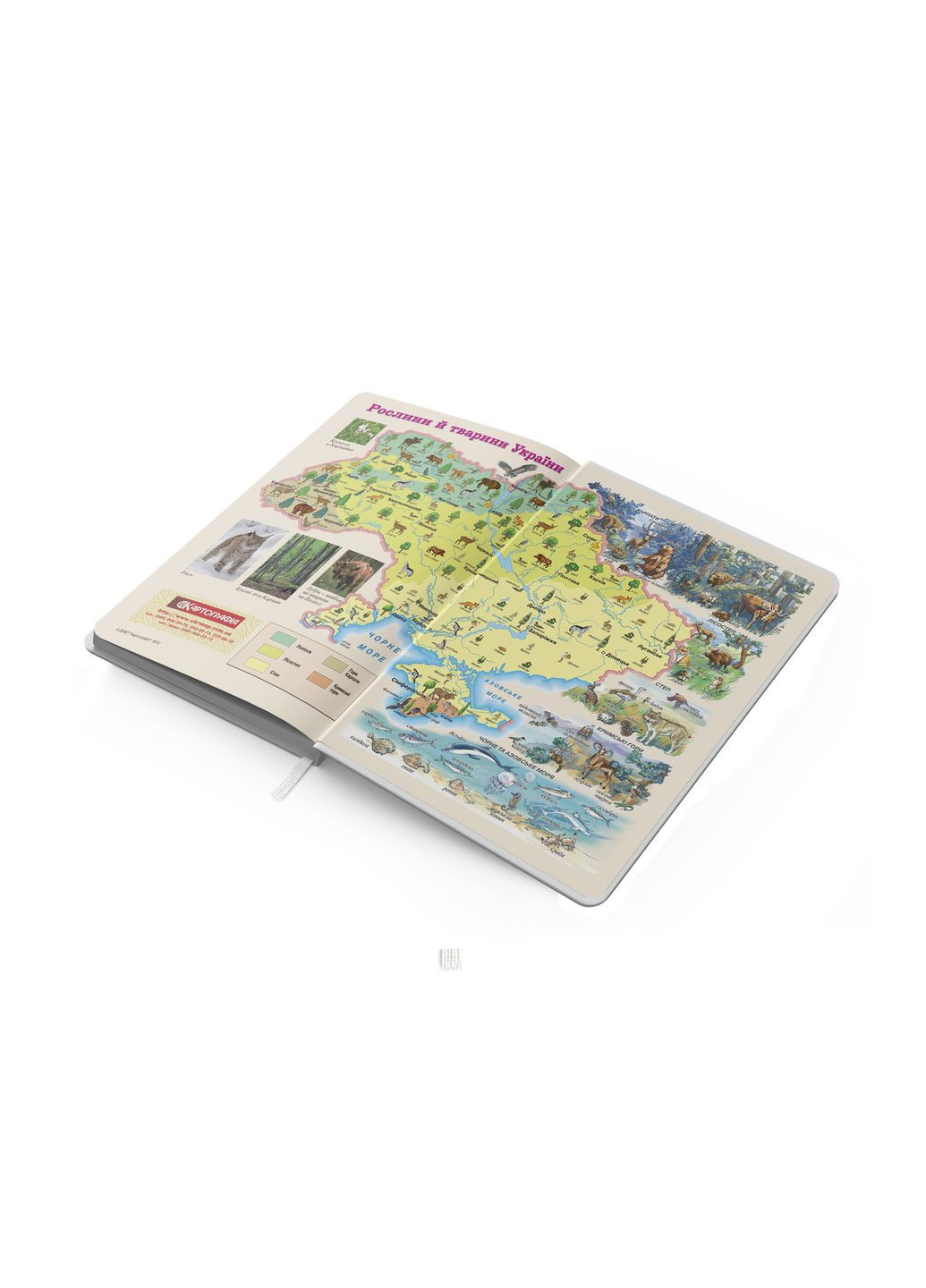 Щоденник "Найрозумніший", B5 / тв. обк. сендвіч / Котики Аркуш (342417674)