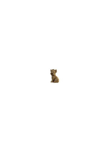 3D пазл Yorkshire terrier (CARTYORK) Cartonic (369939595)
