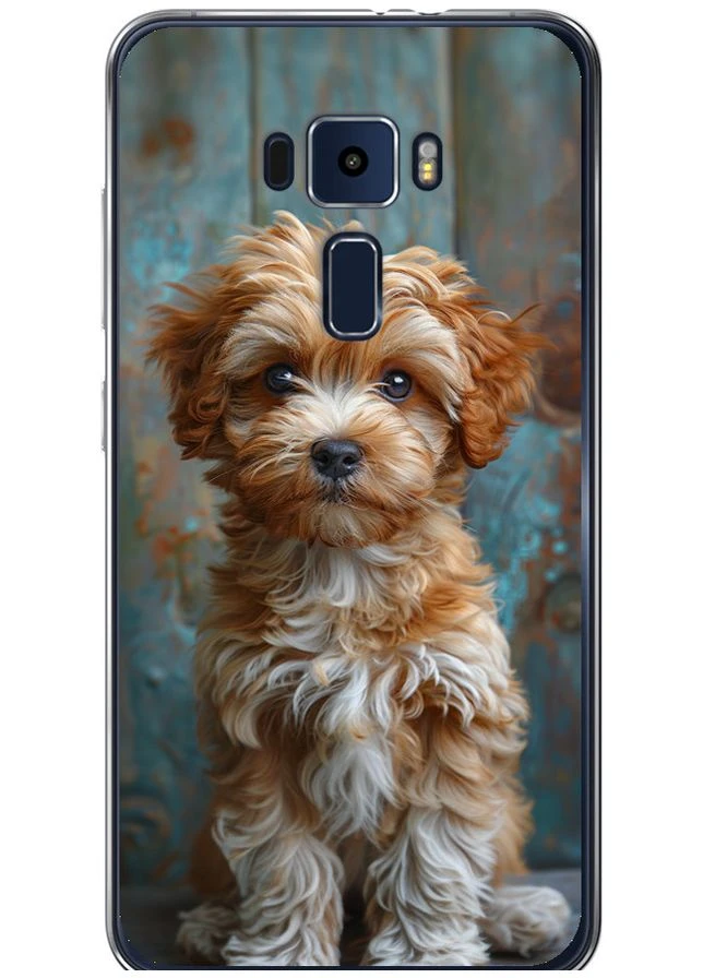 Силіконовий чохол 'Цуценя мальтипу' для Endorphone Asus Zenfone 3 ZE552KL (297867424)