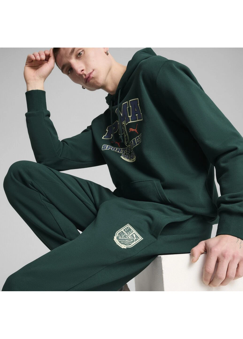 Штани SPORTS LEGACY Graphic Sweatpants Men Puma (333929904)