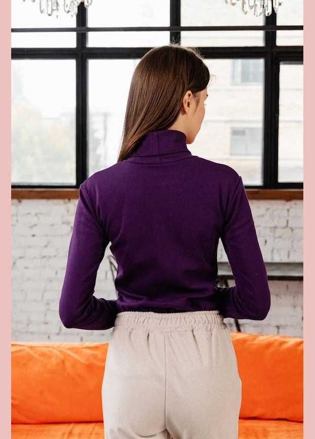 Водолазка жіноча приталена з високим коміром однотонна HC (h001-8047-040) No Brand (306543423)