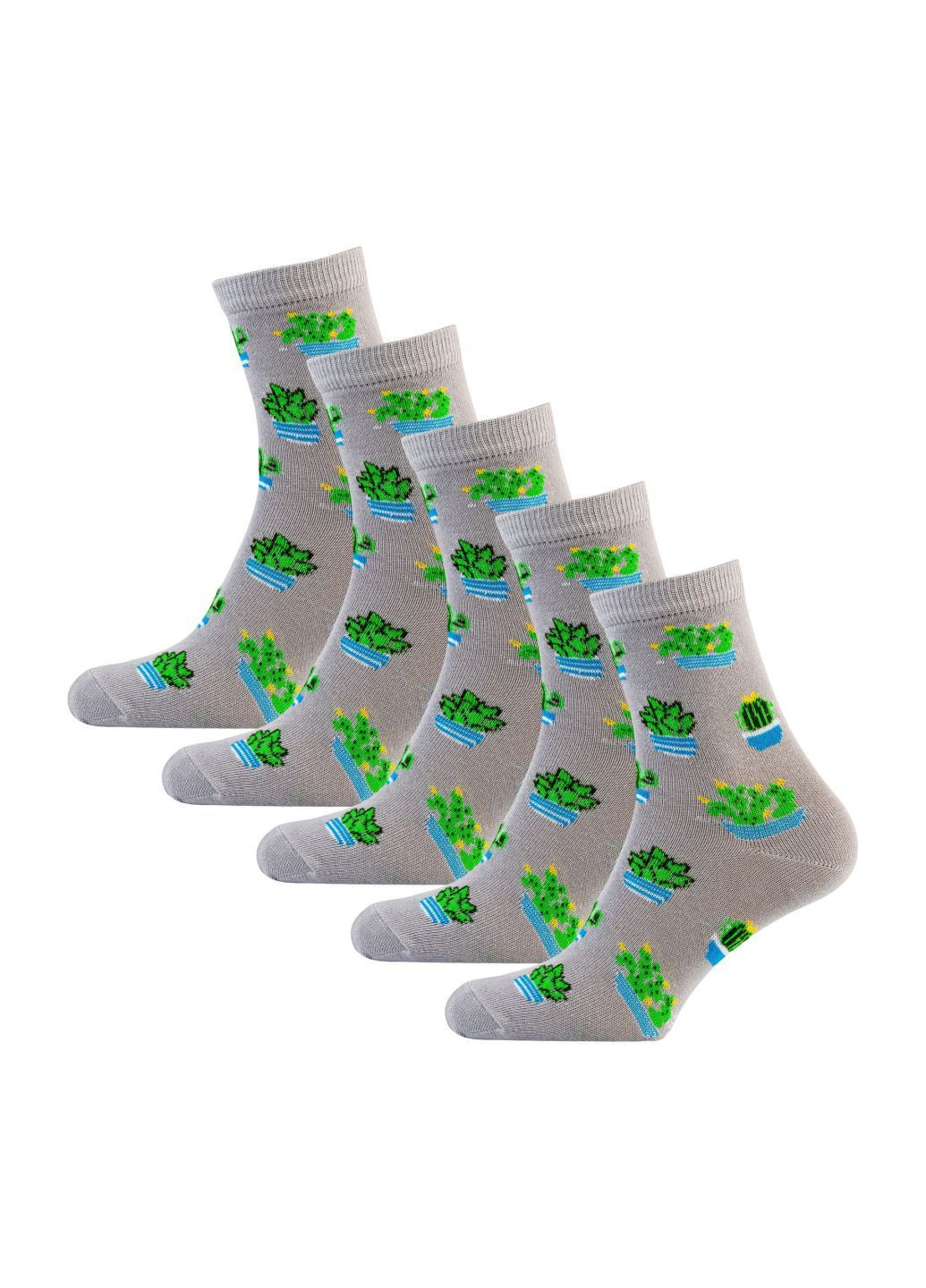 Сірі набір (5 шт) жіночих шкарпеток Siela (302517151)