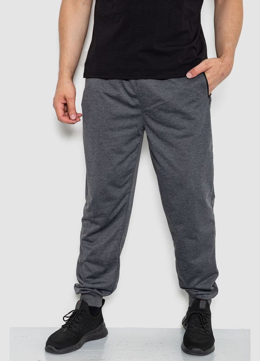 Темно-серые спортивные демисезонные брюки Ager