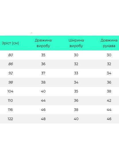 Синяя флисовая рубашка для мальчика электрик с вышивкой лилия флис (365776786)