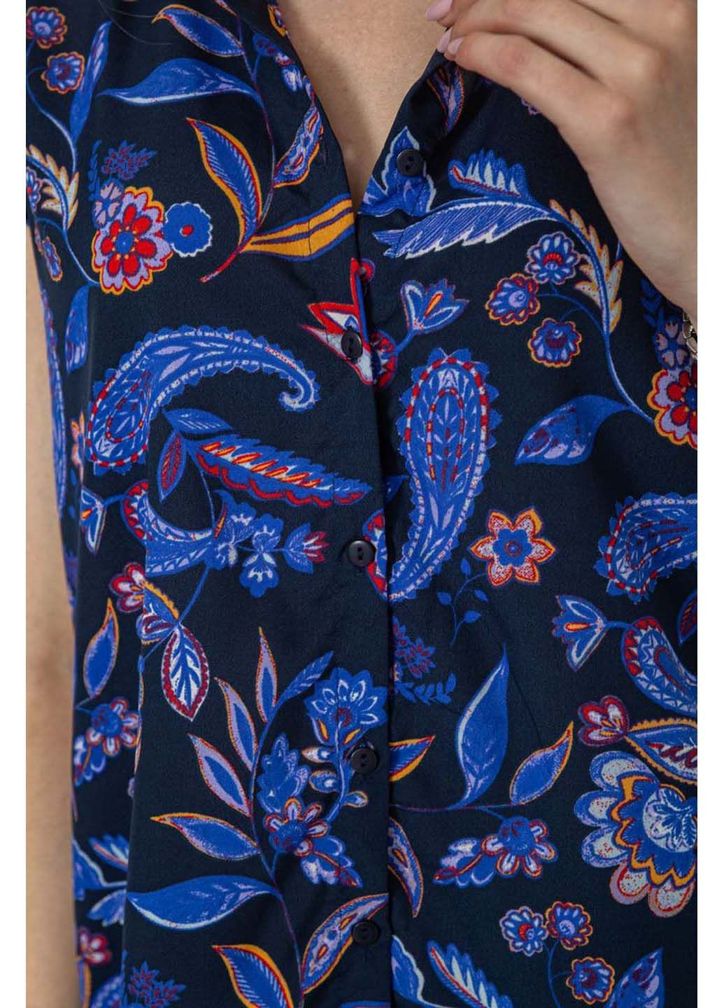 Синіти блуза Calliope