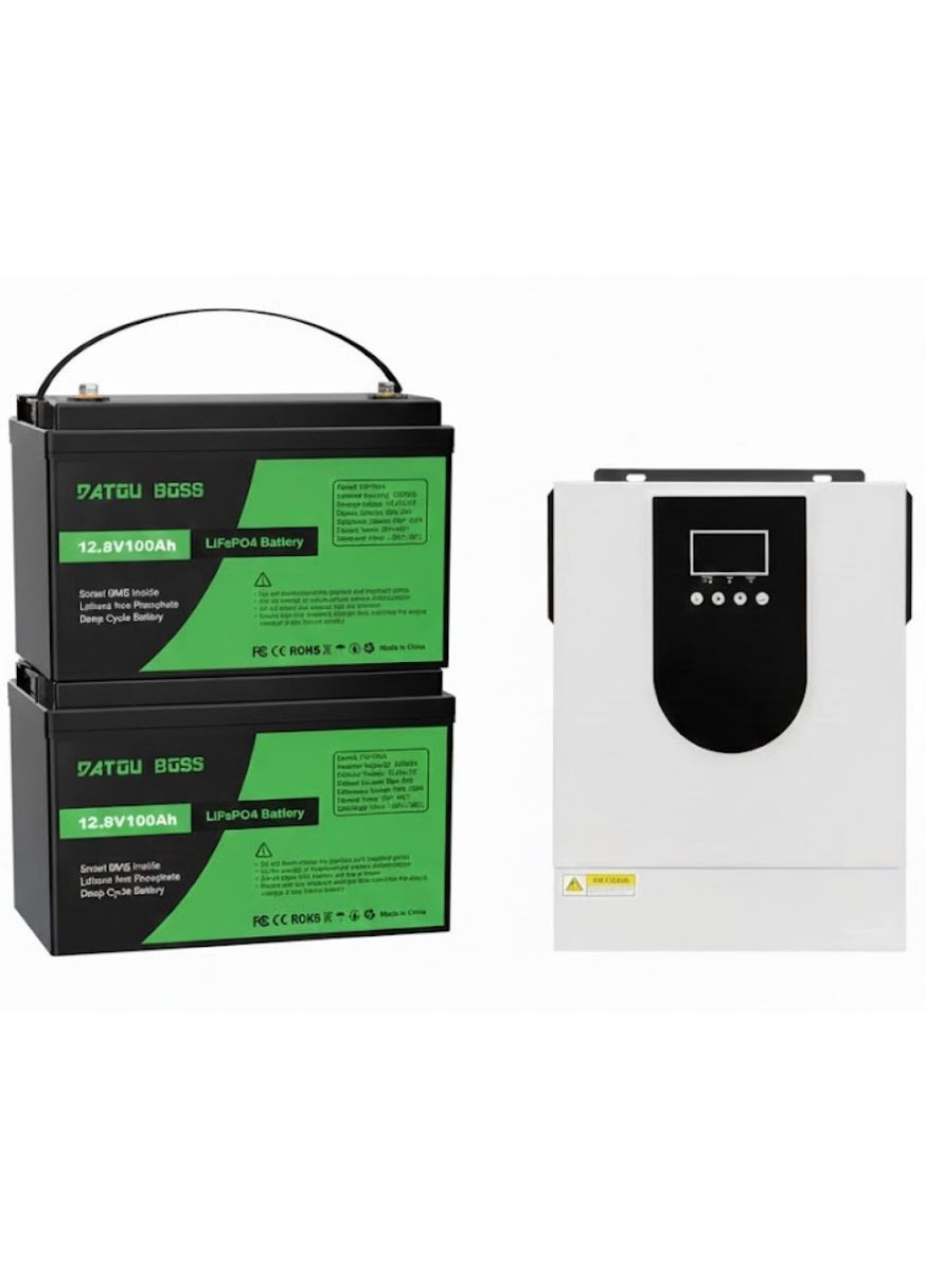 Комплект гибридный инвертор WX1254 3200VA/3000W 24V и 2 аккумулятора Datou Boss LiFePO4 100Ач для солнечных систем (2104618905) No Brand (372466565)