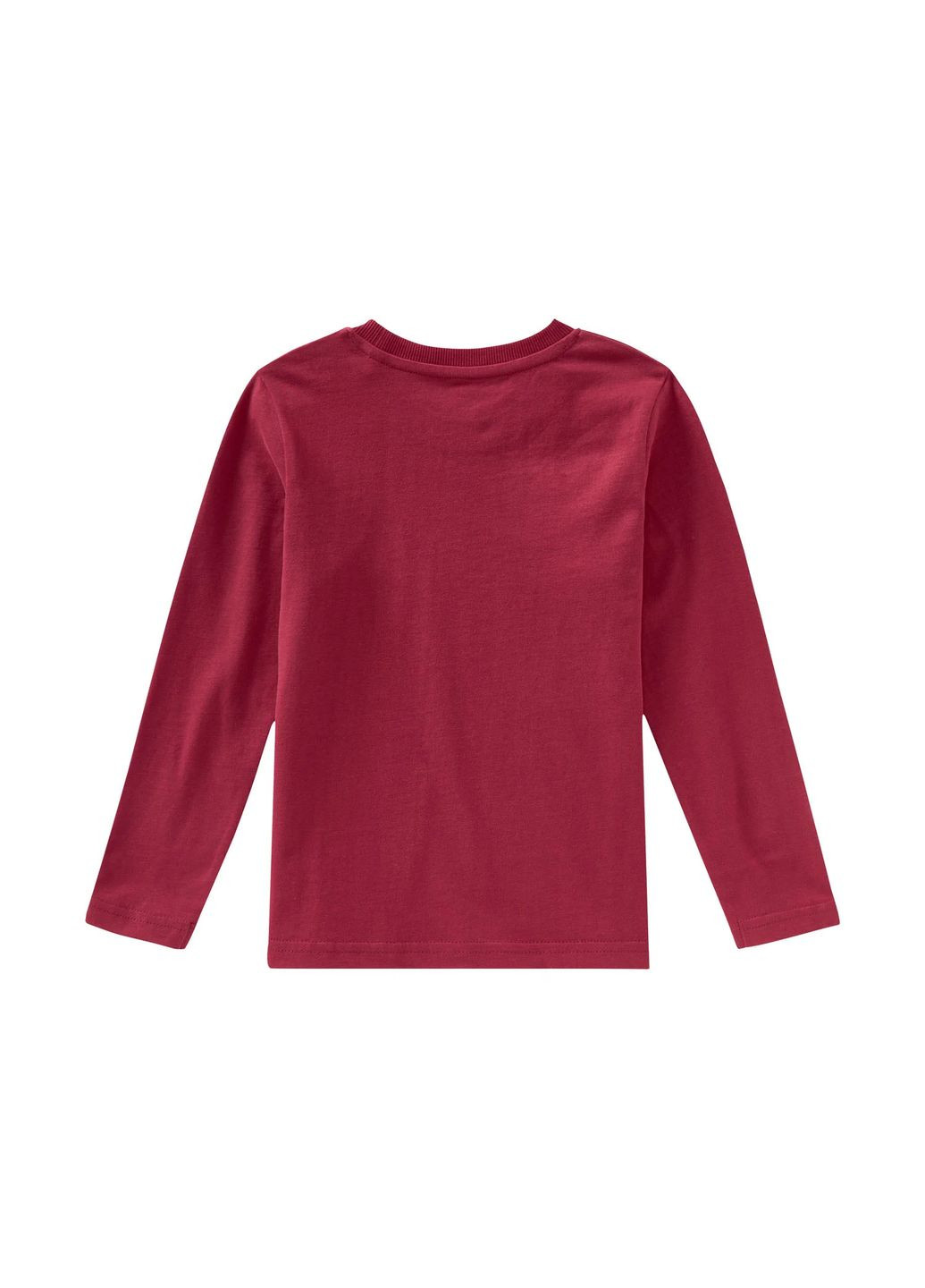 Бордовая всесезон пижама 390204_2201-2 с фланелевыми штанами don`t give up your dreams бордово-темно-синяя лонгслив + брюки Lupilu