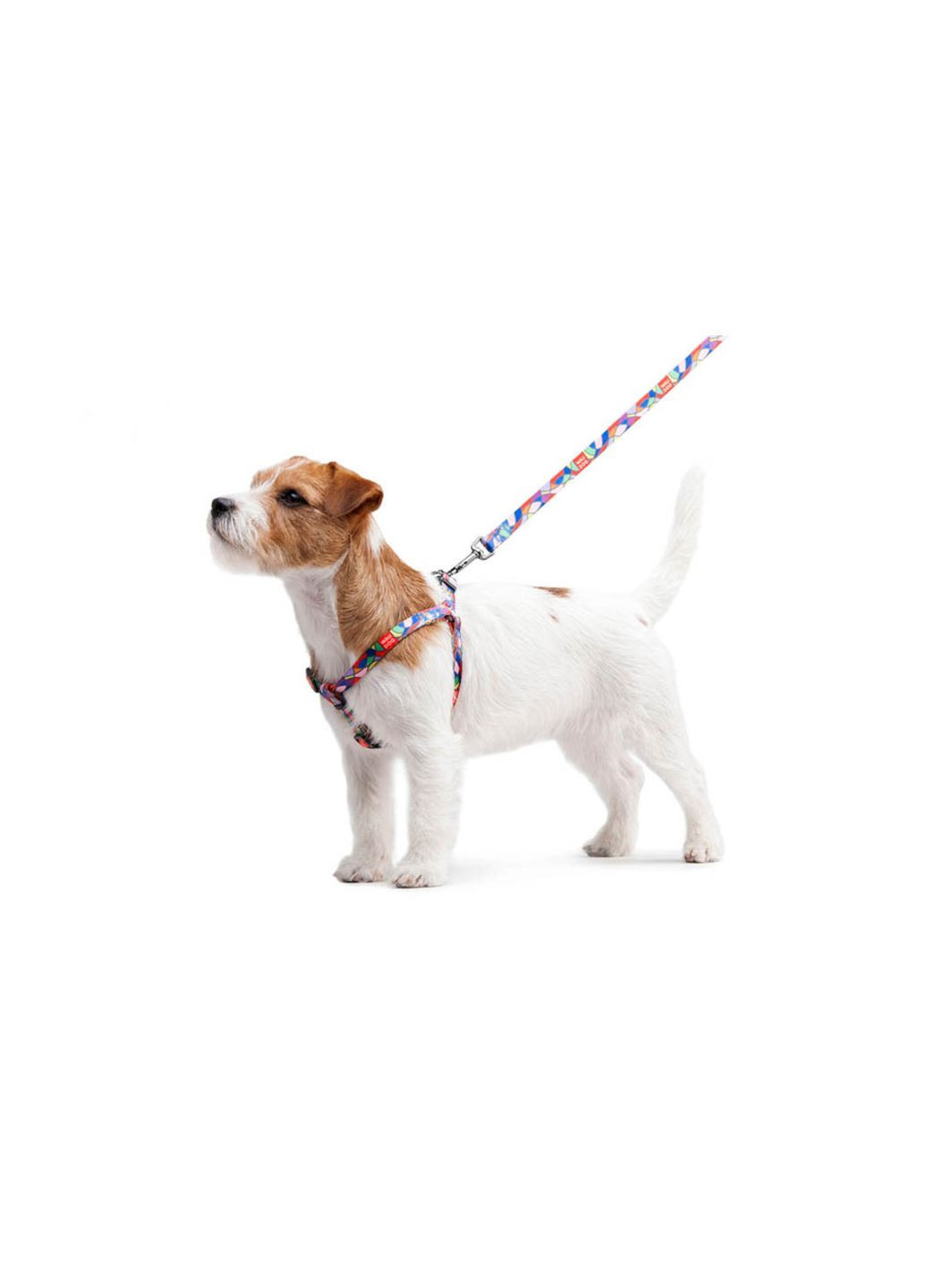 Повідець для собак нейлоновий Nylon "Вітраж" Ш 15 мм Д 122 см WAUDOG (279561601)