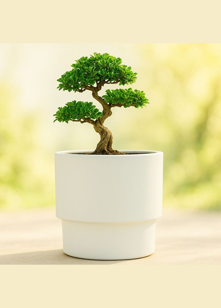 Горшок пластиковый двойной 17 л HEOS DBHEN-300 Prosperplast (331154550)