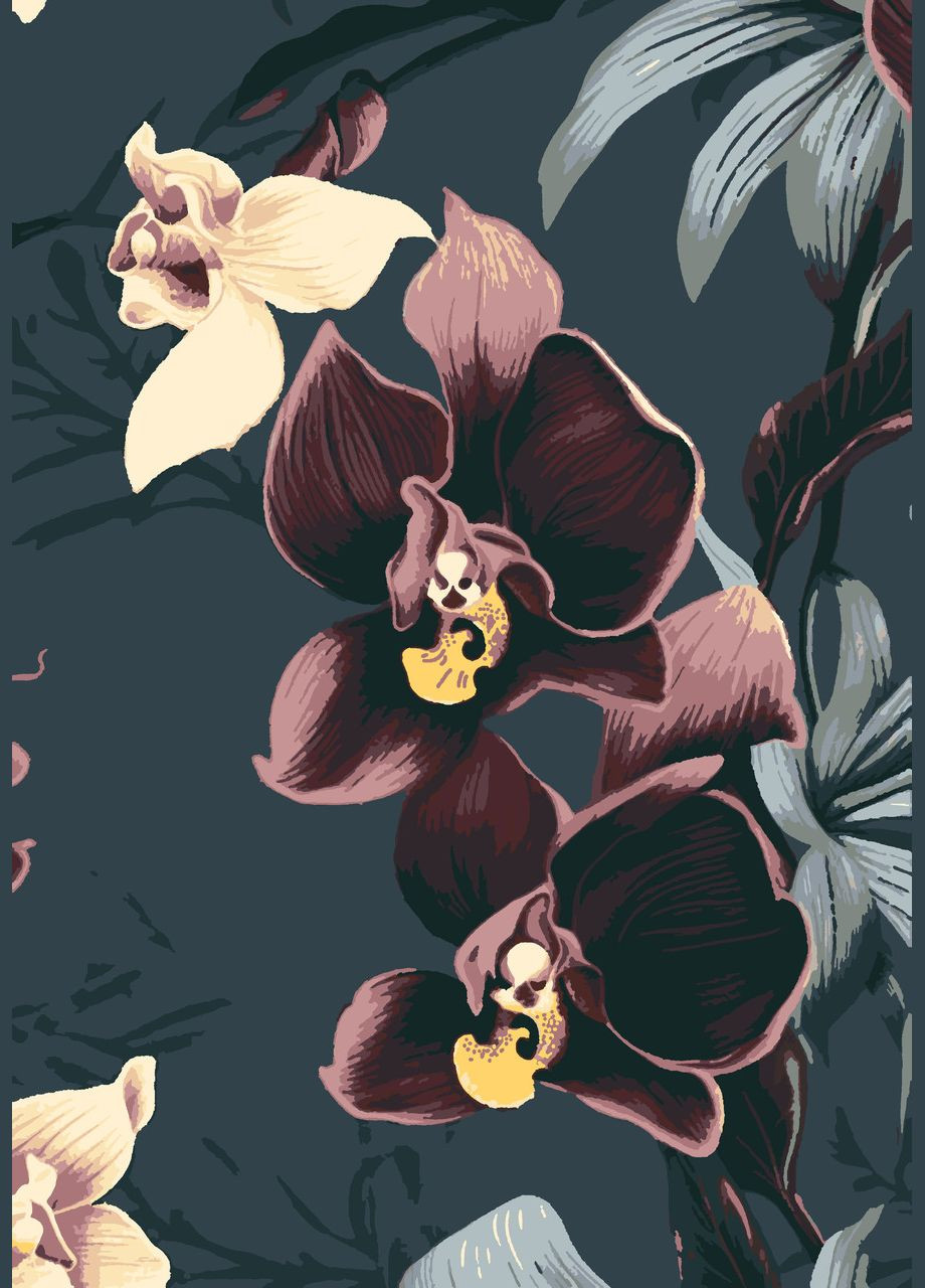 Комплект картин по номерам Таинственные орхидеи (ITR-056) 4 шт. Riviera Blanca (303135403)