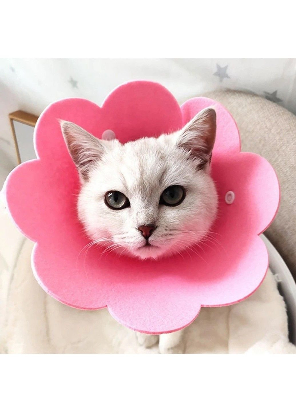 Комір-нашийник "для загоєння ран" для собак і кішок Pink Flower Size S Xtep (320953390)