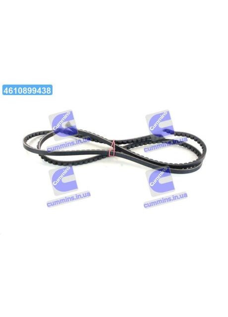 Ремень клиновой (Пр-во) 10X1750 ContiTech (366206891)