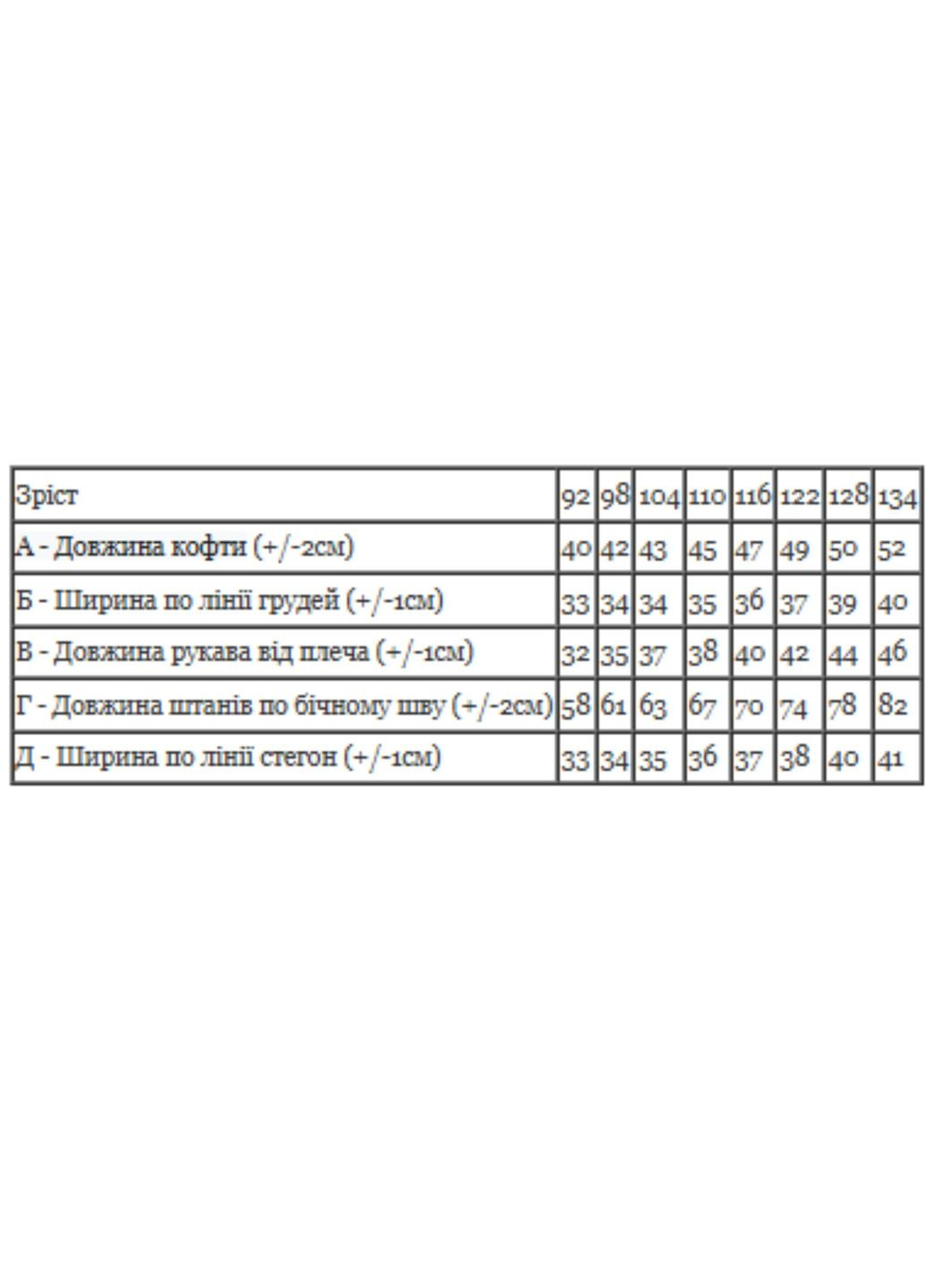 Утепленный спортивный костюм для мальчика (Zip-худи и брюки) (p-3187) Носи своє (363260974)