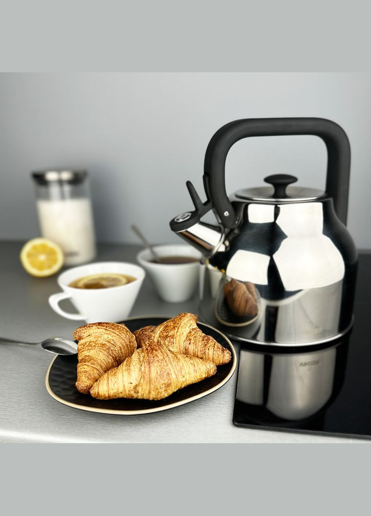 Чайник зі свистком Space 2.7 л (50002) Vinzer (337990606)