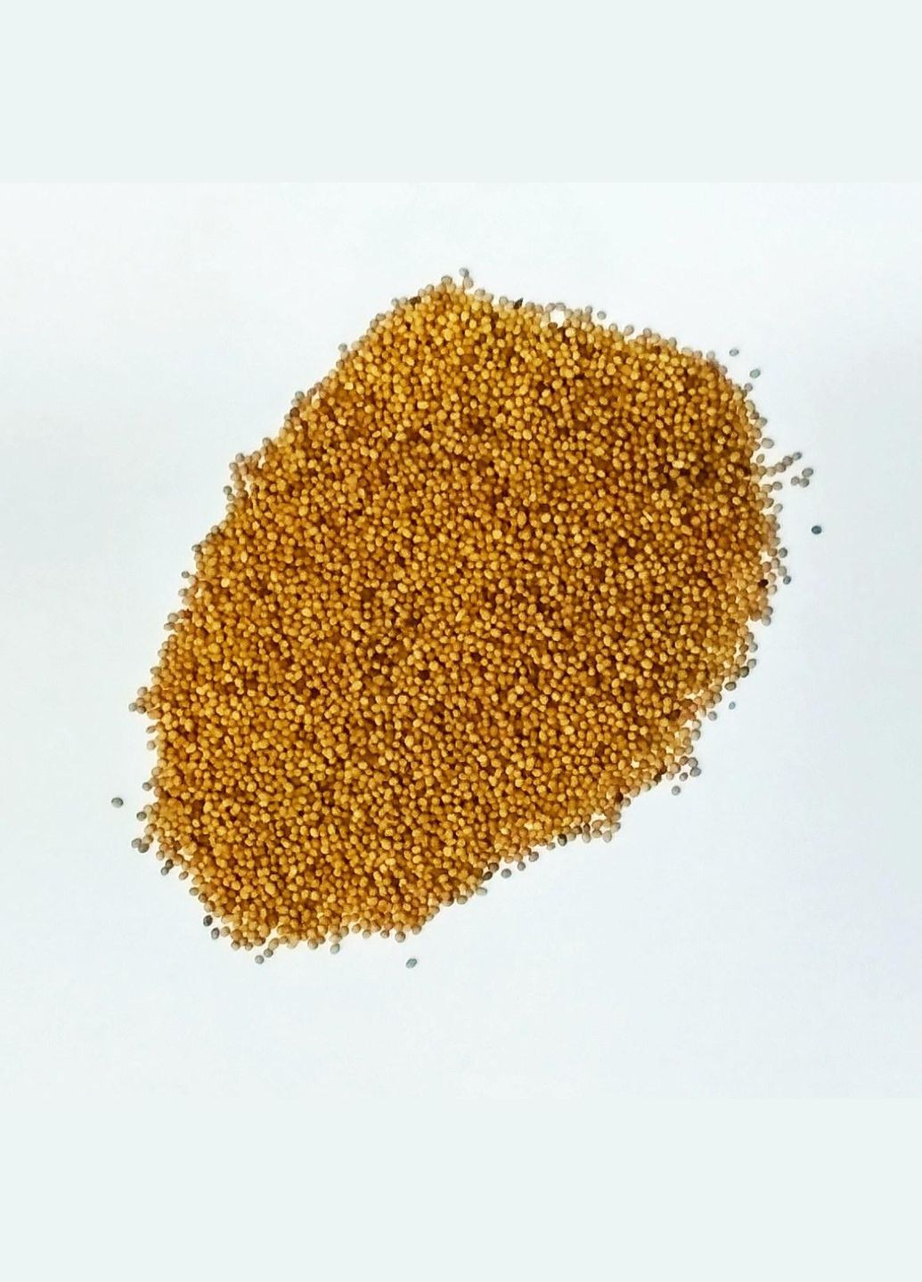 Семена горчицы желтой 1 кг () Насіння країни (303926526)