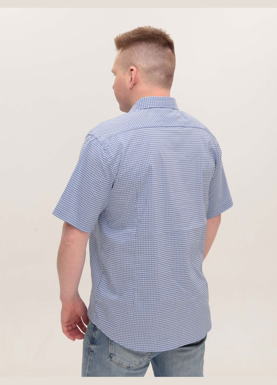 Сорочка чоловіча блакитна пряма в клітку короткий рукав великий розмір Bagarda Пряма (323202307)