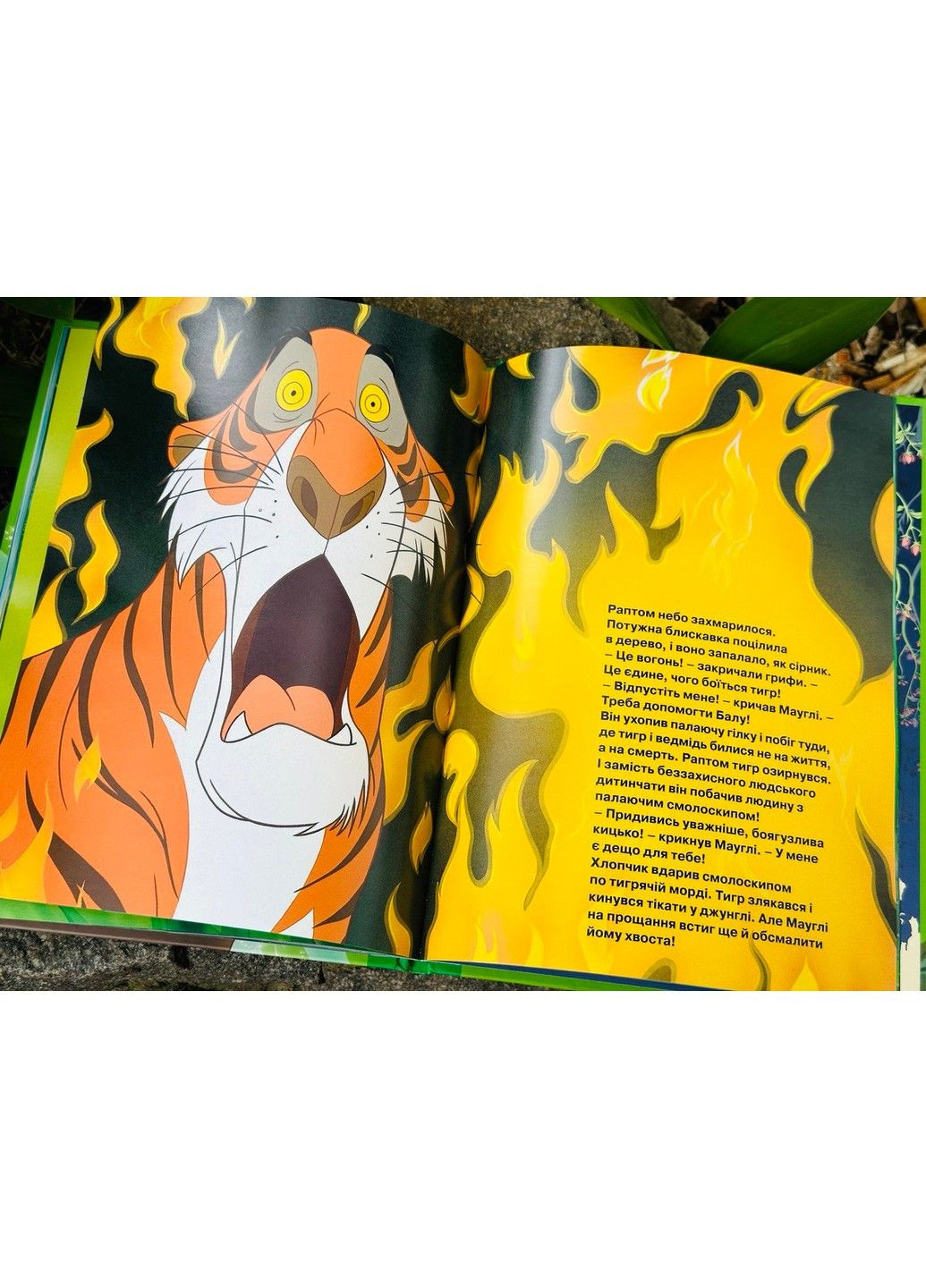 Книга джунглей. Магическая коллекция Видавництво "Егмонт Україна" (297440936)