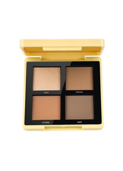 Палитра для контуринга 3 в 1 "Maestro Academy" [002] (8 г) TopFace (334869457)