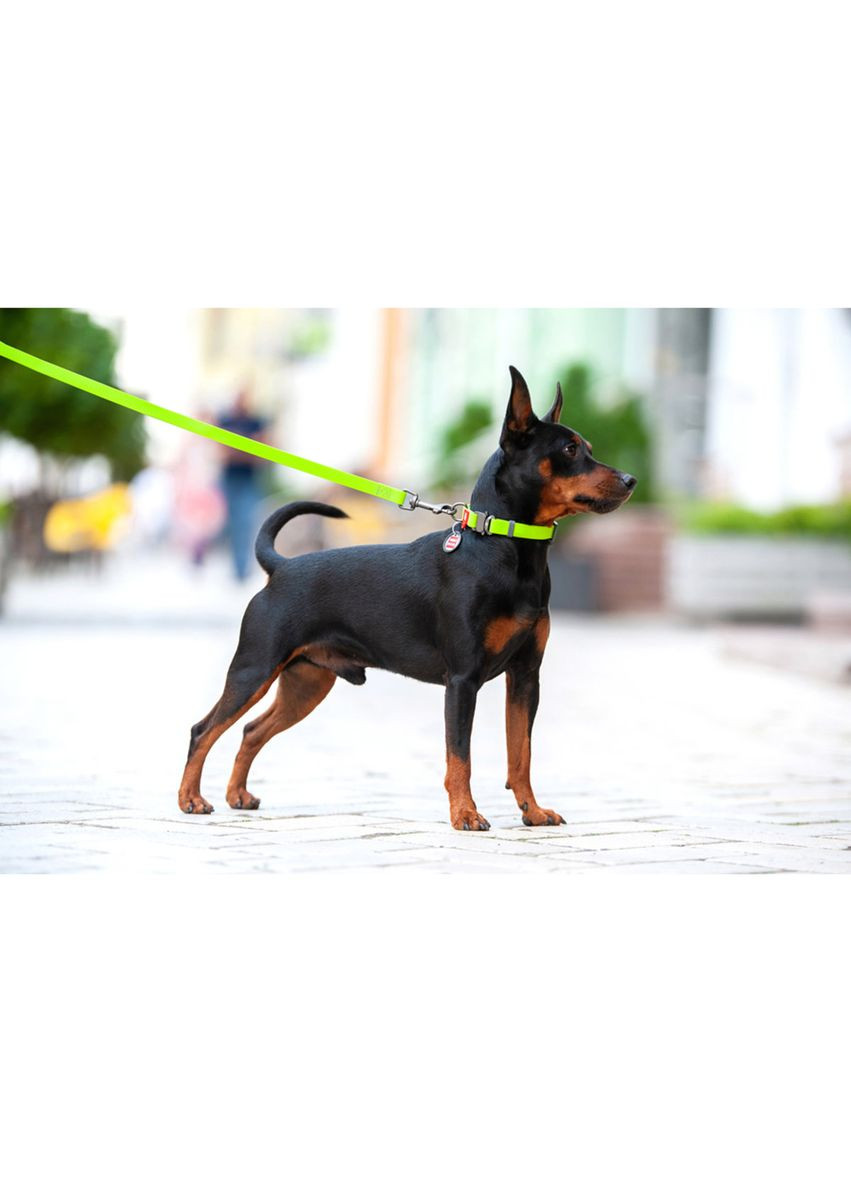 Ошейник для собак водостойкий Waterproof c QR паспортом, Ш 25 мм, Длин 38-58 см, салатовый WAUDOG (322642051)