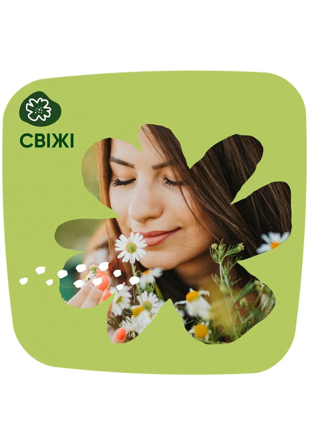 Щоденні прокладки "" Normal Ромашка (Camomile) 44шт. Naturella (351503940)