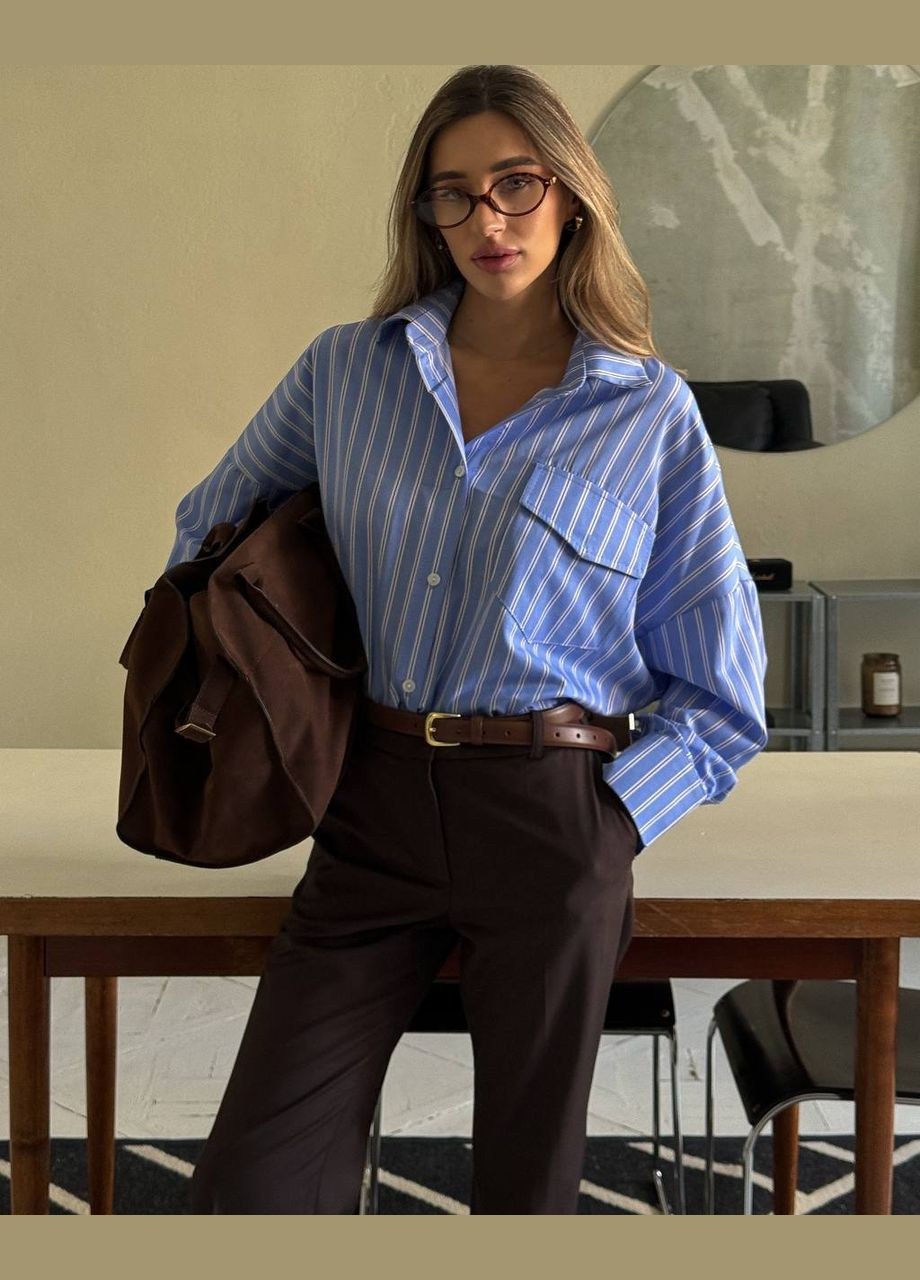 Голубой повседневный рубашка в полоску Україна с длинным рукавом