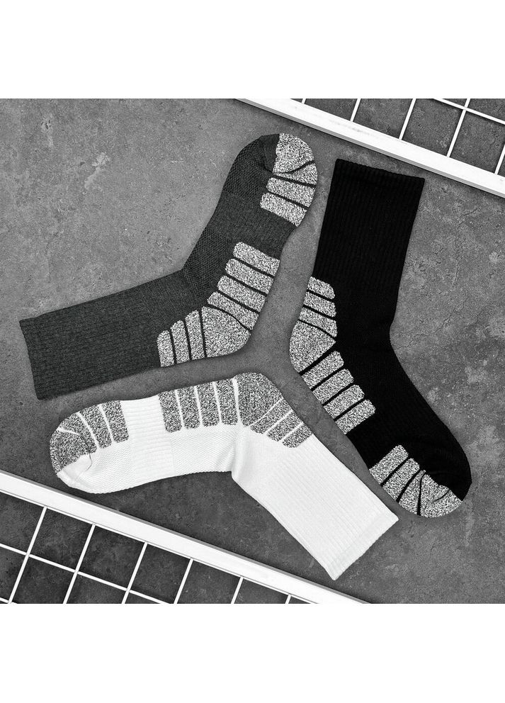 Чорні шкарпетки blank чорний Pobedov (316301570)