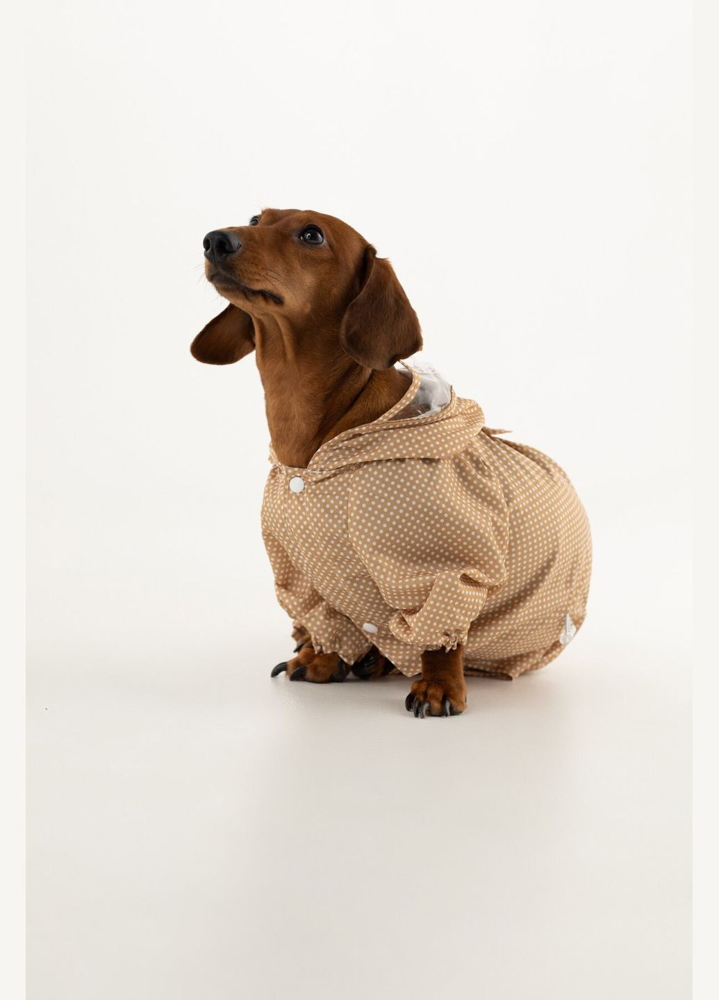 Комбинезон для животных KM52621 Бежевый (2000990380746D) shop (2000990380746) KUMAOCHONGWUYONGPIN (363829780)