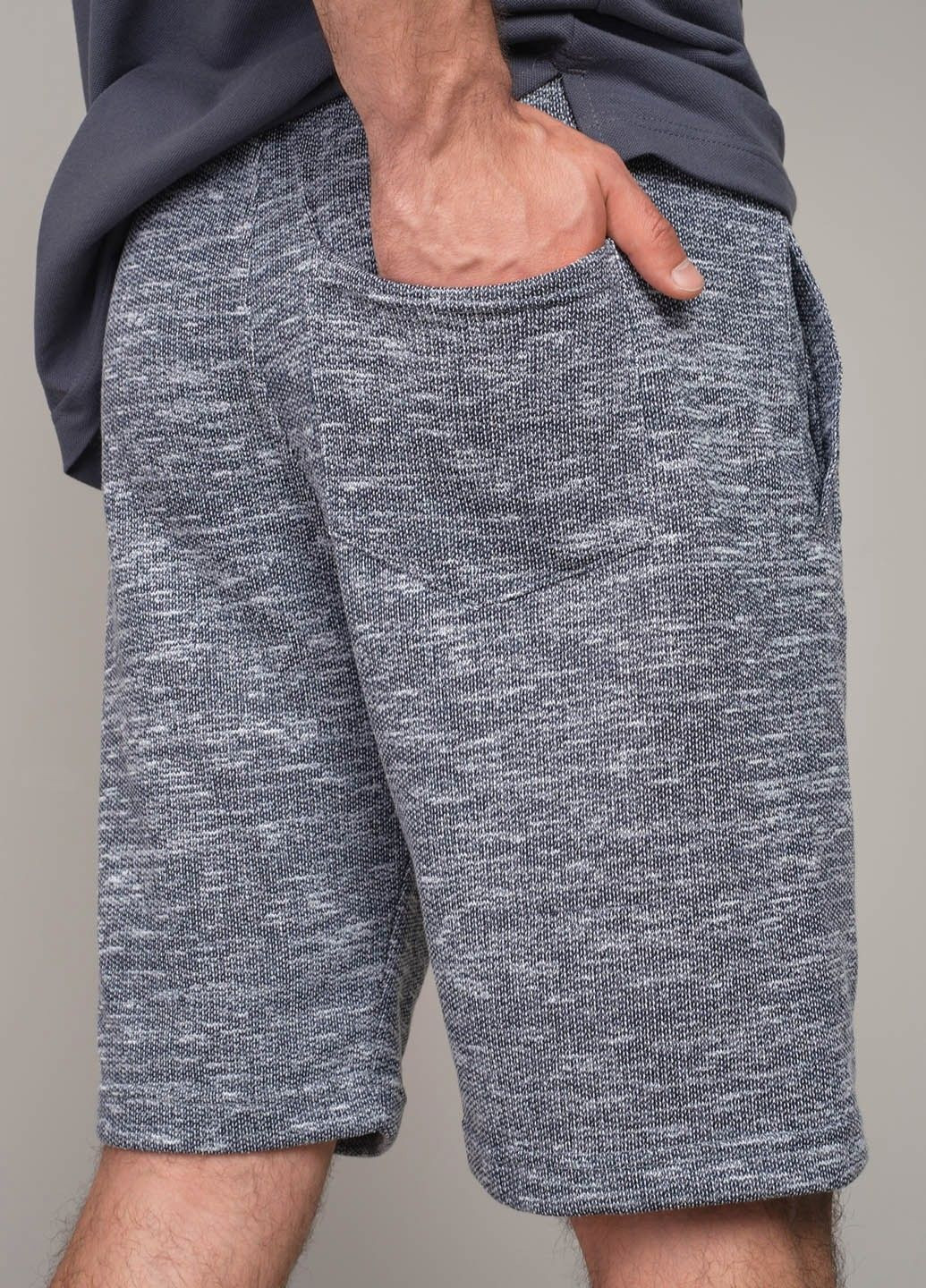 Мужские шорты 103301 Power (296777423)